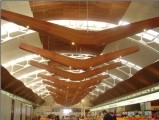 Wood grain ceiling 112